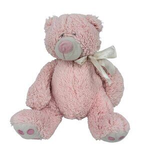 Baby Ganz Teddy Bear Plush Rattle Pink Lovey Toy Embroidered Heart Paw Pint